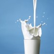 Hukum Susu Formula Hukum Susu Formula